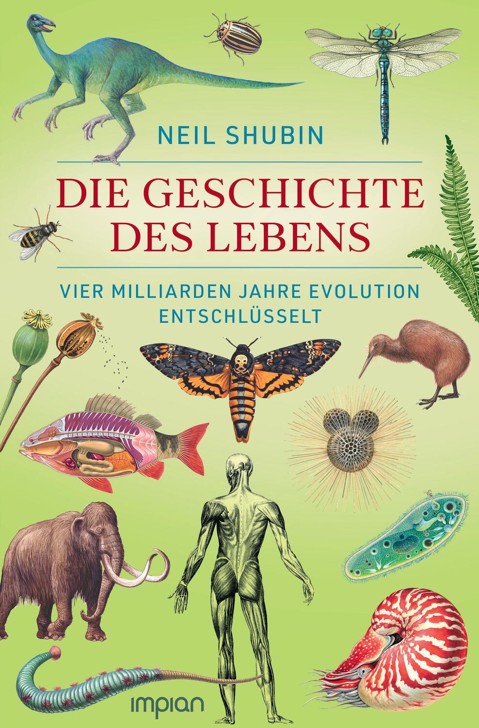 Cover: 9783962691684 | Die Geschichte des Lebens | Neil Shubin | Taschenbuch | 352 S. | 2023