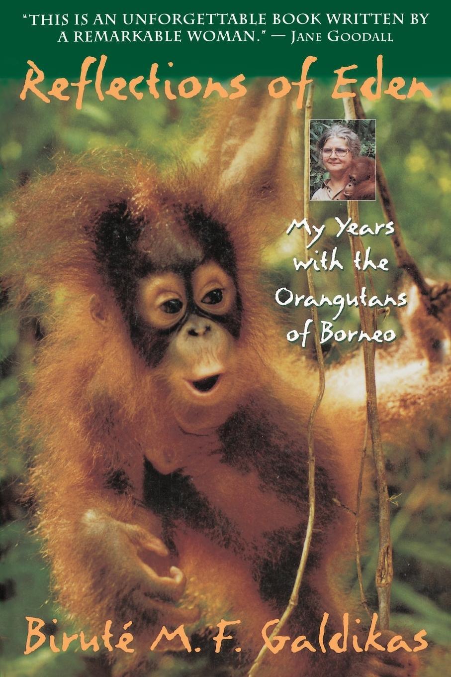 Cover: 9780316301862 | Reflections of Eden | My Years with the Orangutans of Borneo | Buch