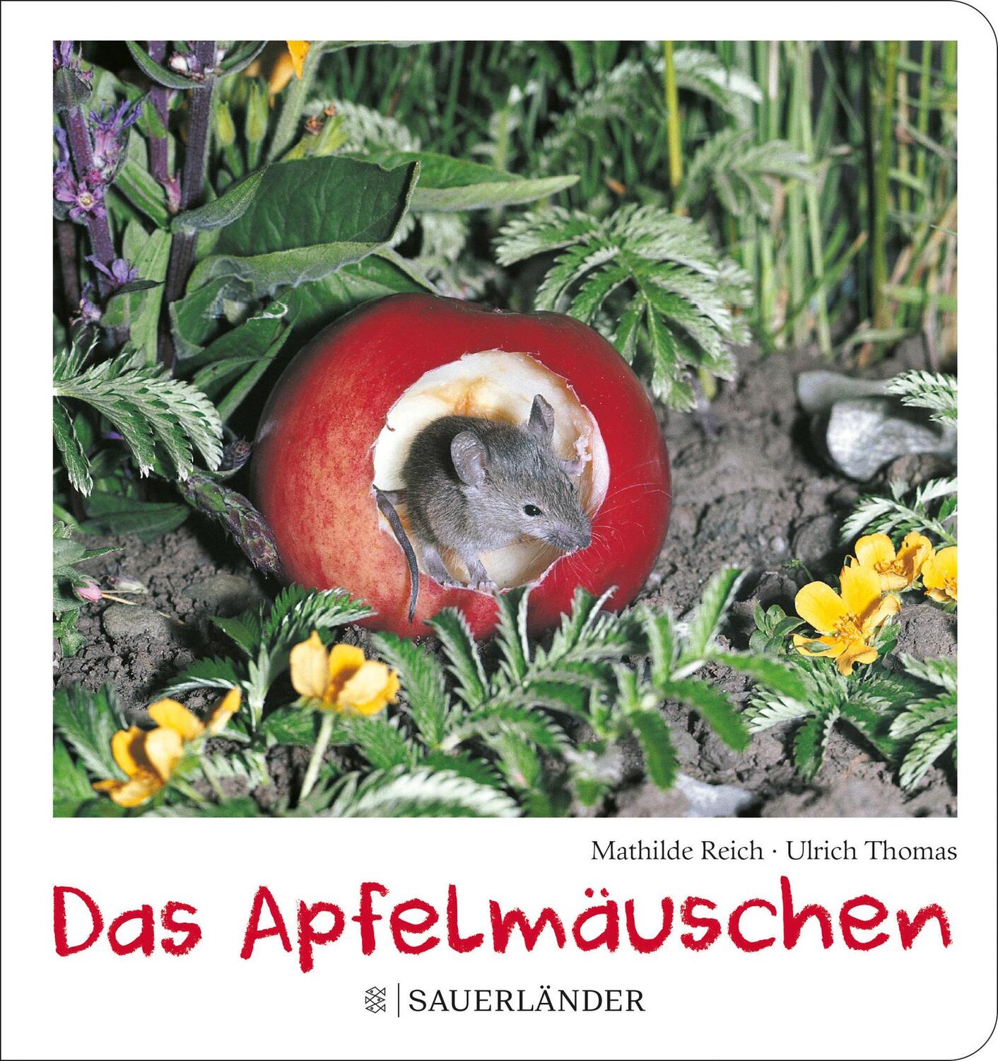 Cover: 9783737358965 | Das Apfelmäuschen (Pappbilderbuch) | Mathilde Reich | Buch | 40 S.