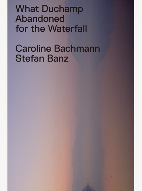 Cover: 9783858812612 | What Duchamp Abandoned for the Waterfall | Dt/engl/frz | Bachmann