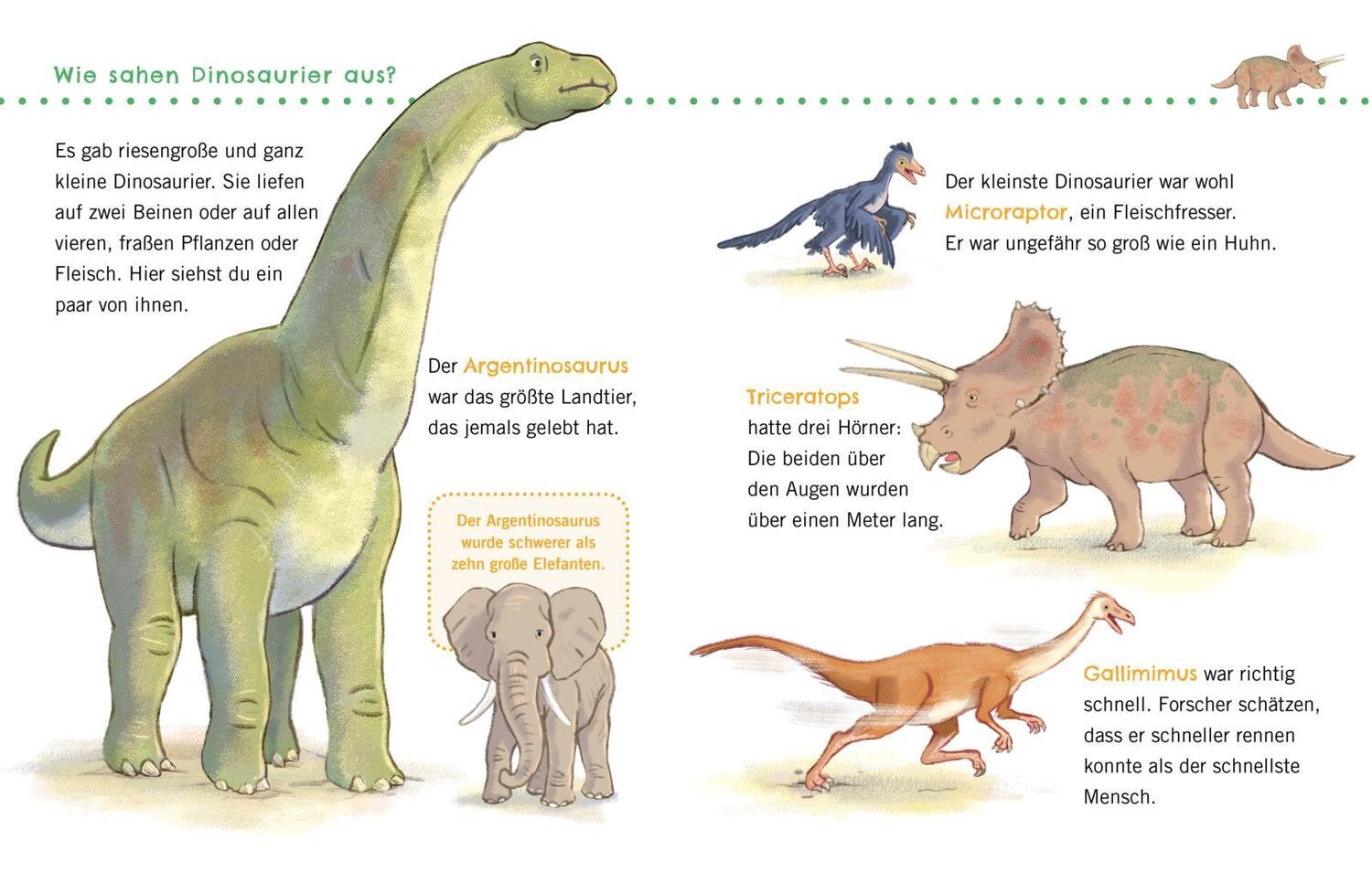 Bild: 9783551036131 | Unkaputtbar: Erstes Wissen: Dinosaurier | Petra Klose | Taschenbuch