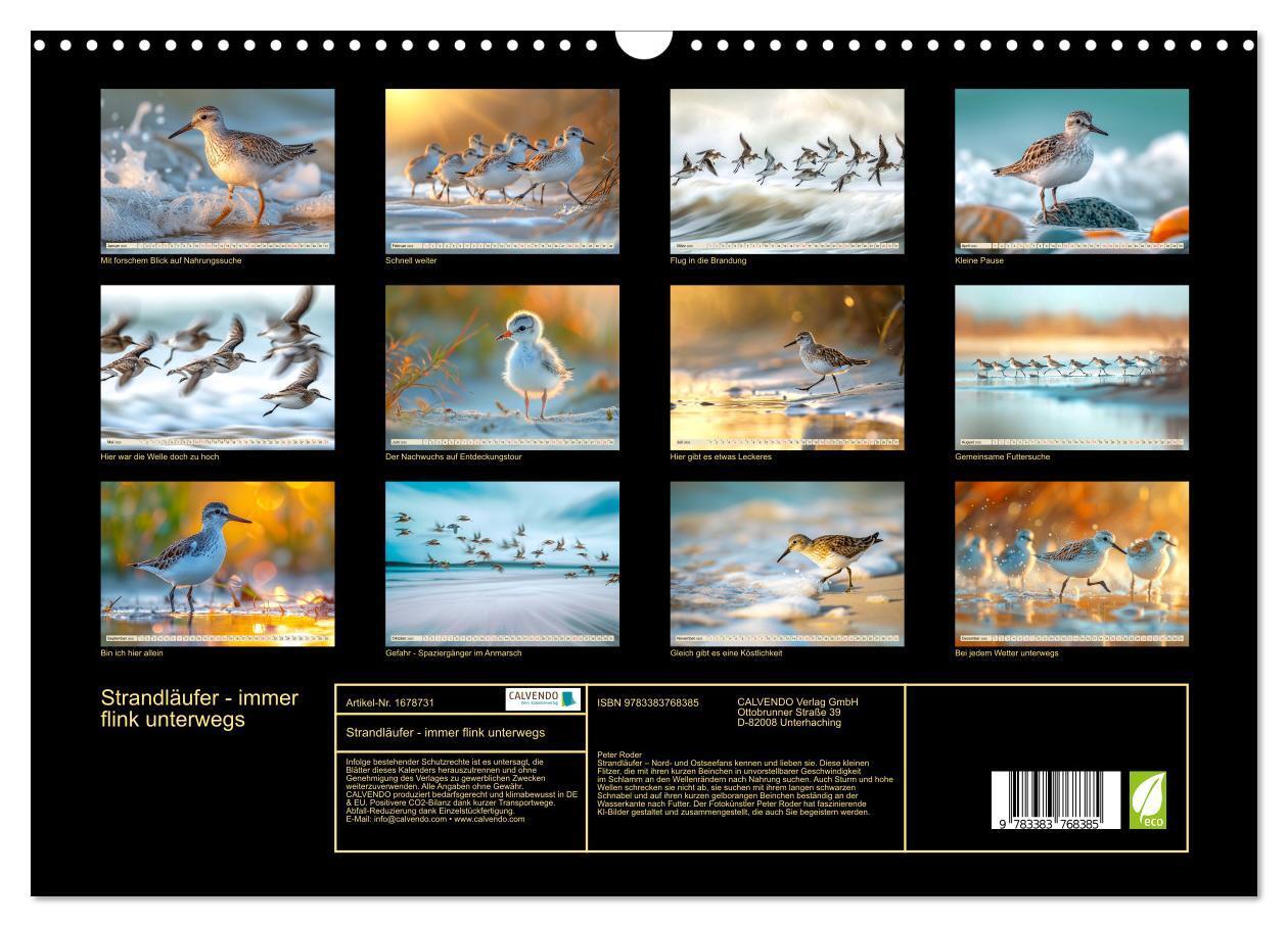 Bild: 9783383768385 | Strandläufer - immer flink unterwegs (Wandkalender 2025 DIN A3...