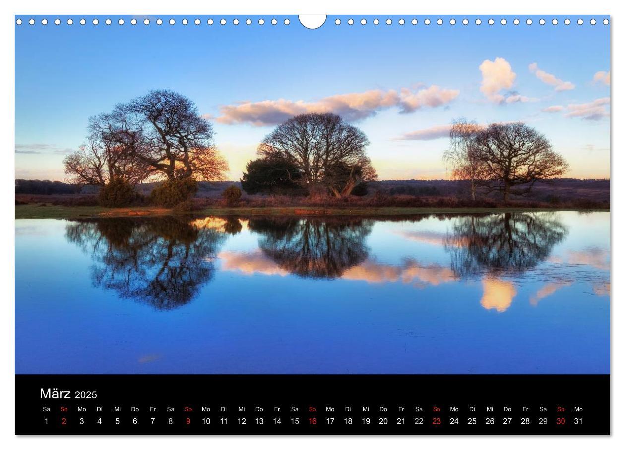 Bild: 9783435475964 | New Forest - England (Wandkalender 2025 DIN A3 quer), CALVENDO...