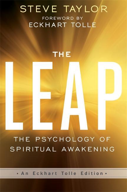 Cover: 9781781809211 | The Leap | Steve Taylor | Taschenbuch | Englisch | 2017