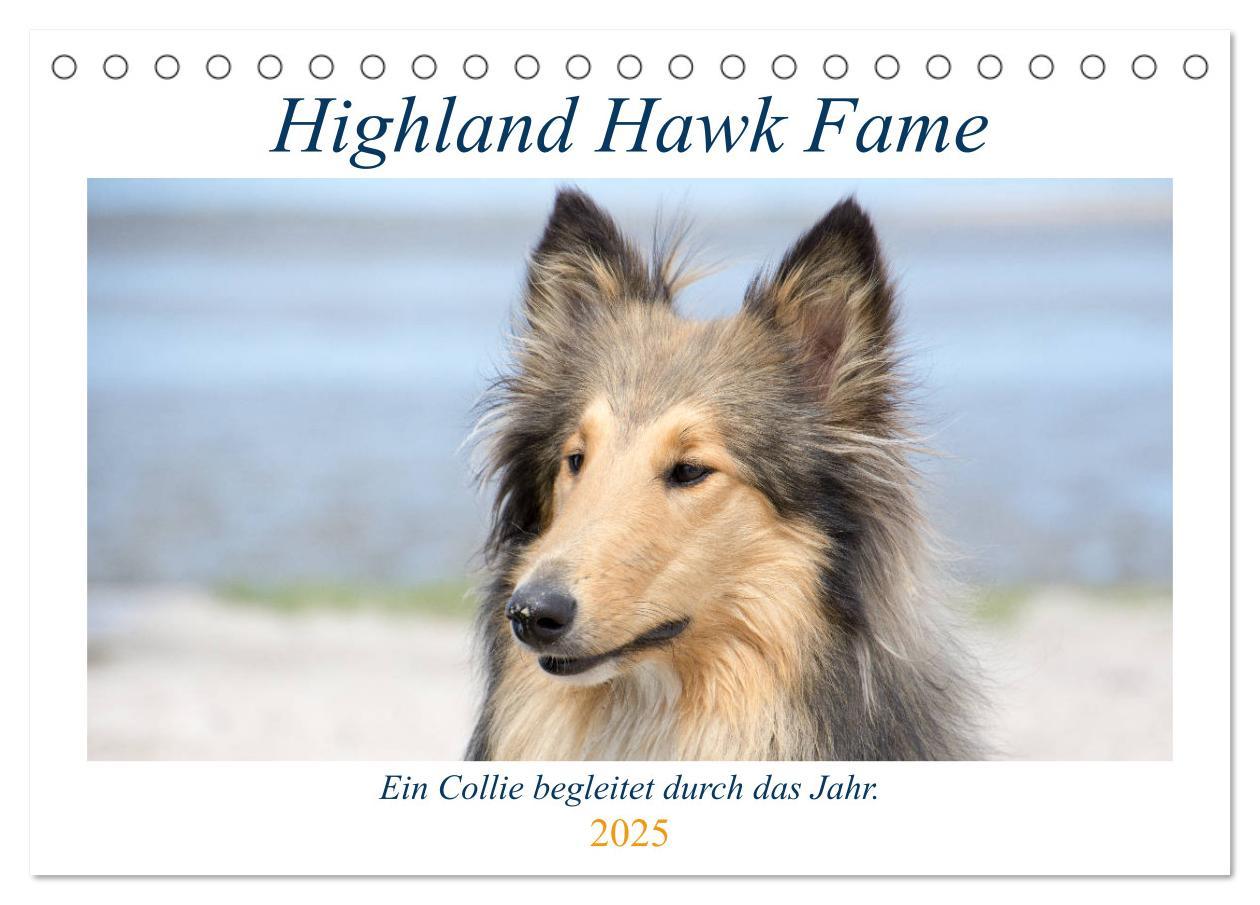 Cover: 9783435412259 | Highland Hawk Fame - Ein Collie begleitet durch das Jahr...