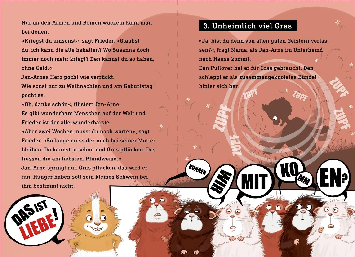 Bild: 9783751206402 | King-Kong, das Geheimschwein | Kirsten Boie | Buch | King-Kong | 64 S.