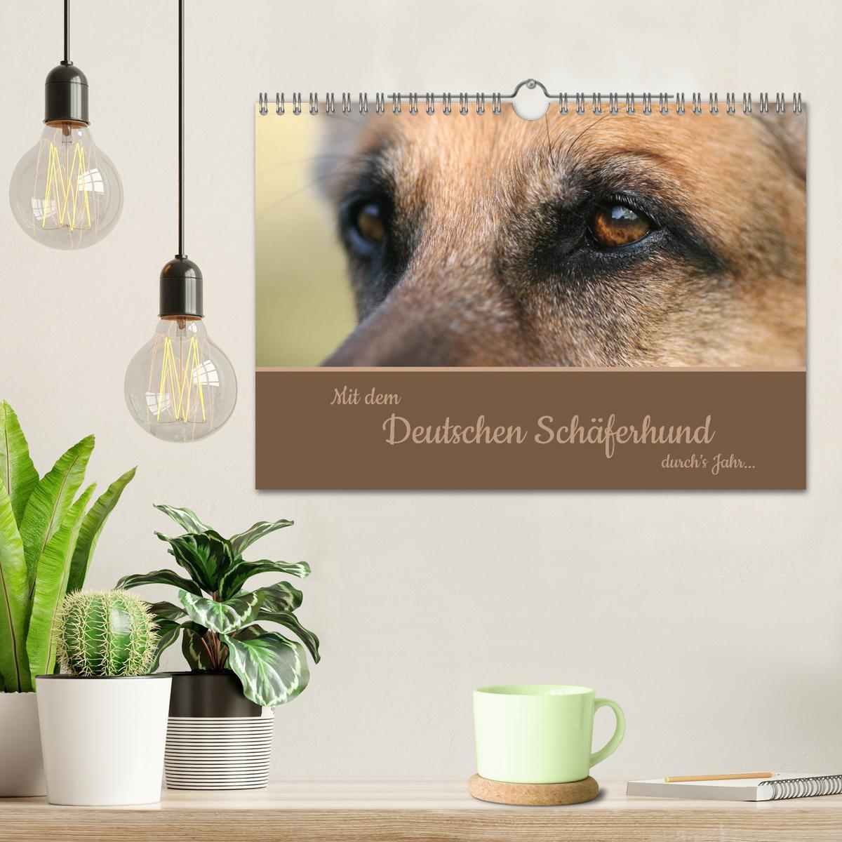 Bild: 9783435784011 | Mit dem Deutschen Schäferhund durch's Jahr (Wandkalender 2025 DIN...