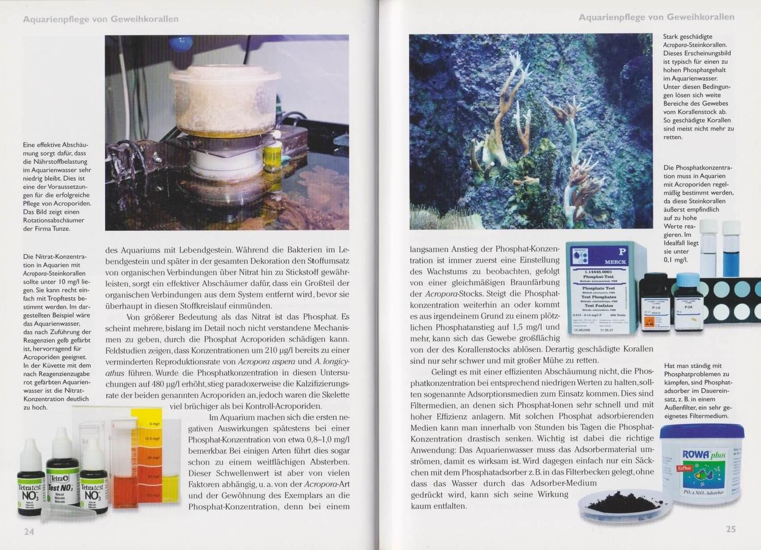 Bild: 9783866591493 | Art für Art 15. Acropora-Geweihkorallen | Im Meerwasseraquarium | Buch