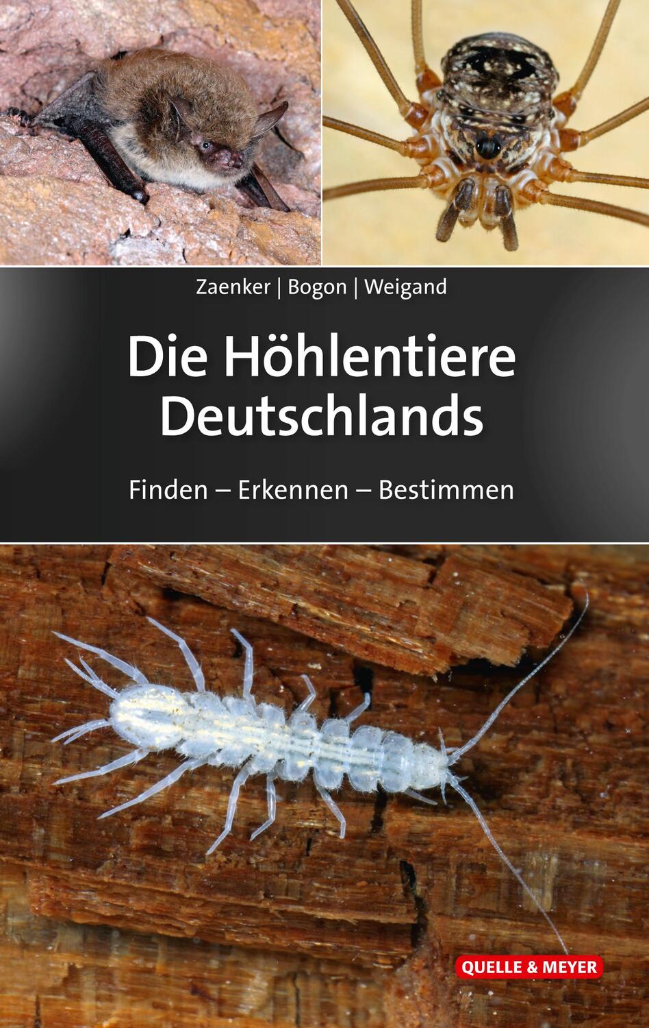 Cover: 9783494018317 | Die Höhlentiere Deutschlands | Finden - Erkennen - Bestimmen | Buch