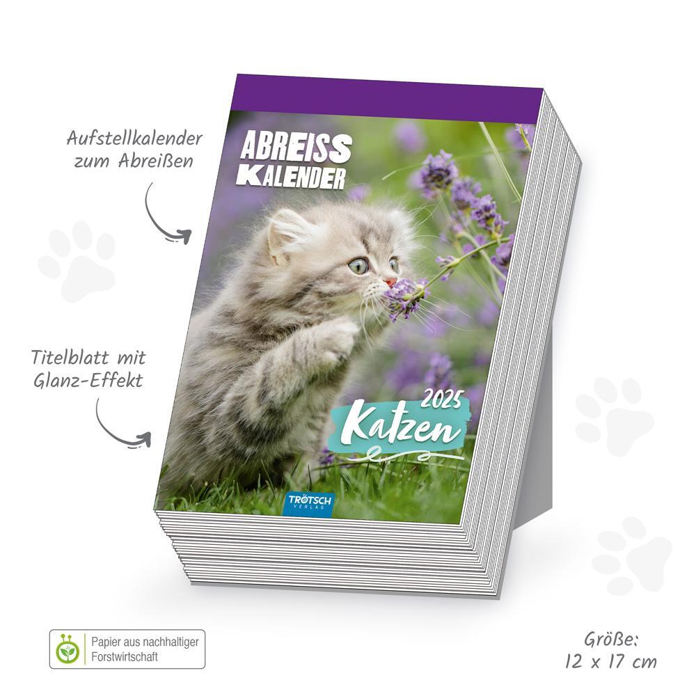 Bild: 9783988021700 | Trötsch Abreißkalender Katzen 2025 | Trötsch Verlag GmbH &amp; Co. KG