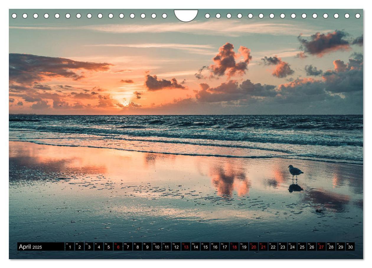 Bild: 9783435157952 | Mein Jahr auf Norderney (Wandkalender 2025 DIN A4 quer), CALVENDO...