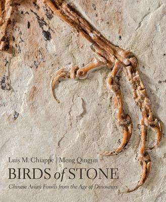 Cover: 9781421420240 | Birds of Stone | Chinese Avian Fossils from the Age of Dinosaurs