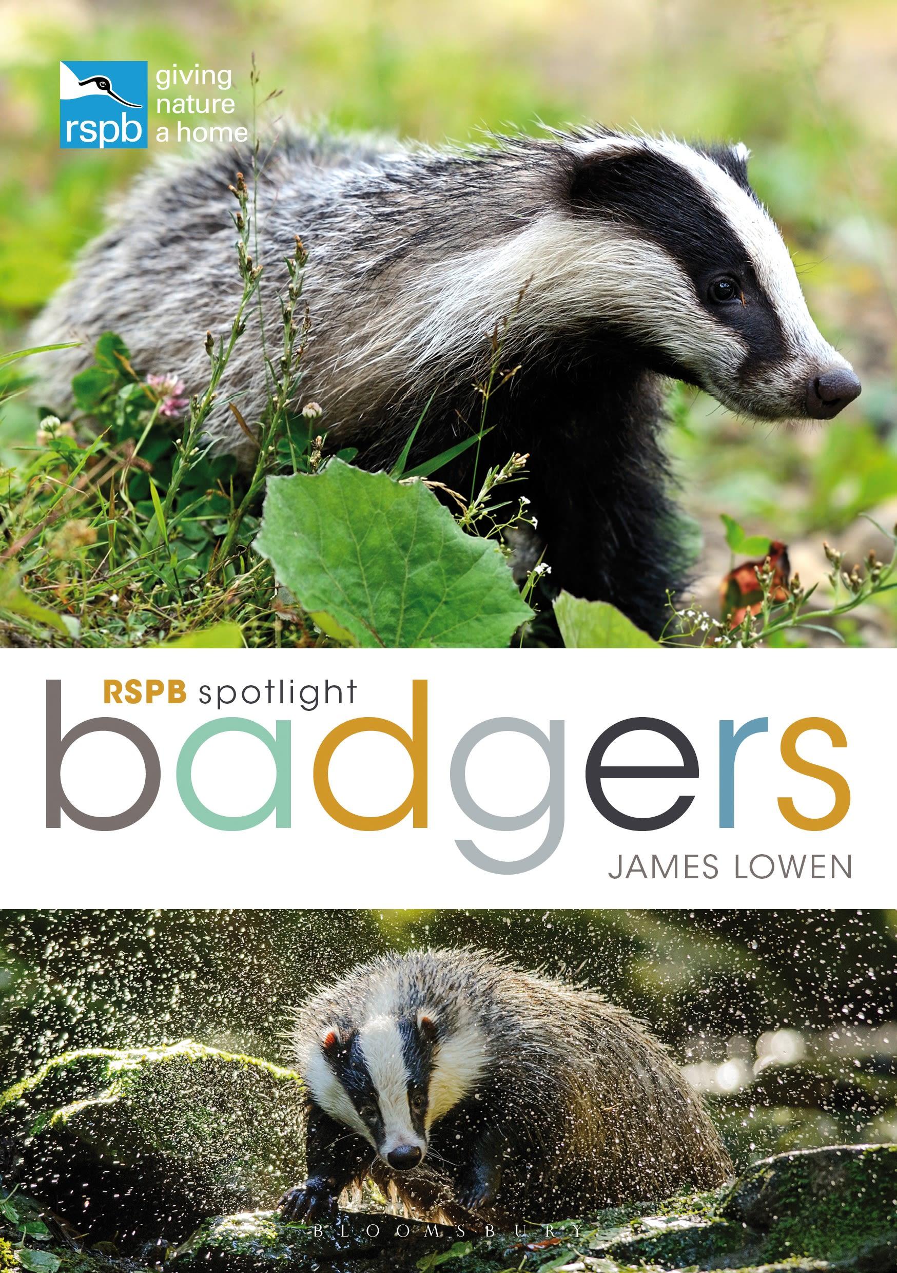 Cover: 9781472971746 | RSPB Spotlight: Badgers | James Lowen | Taschenbuch | Englisch | 2019