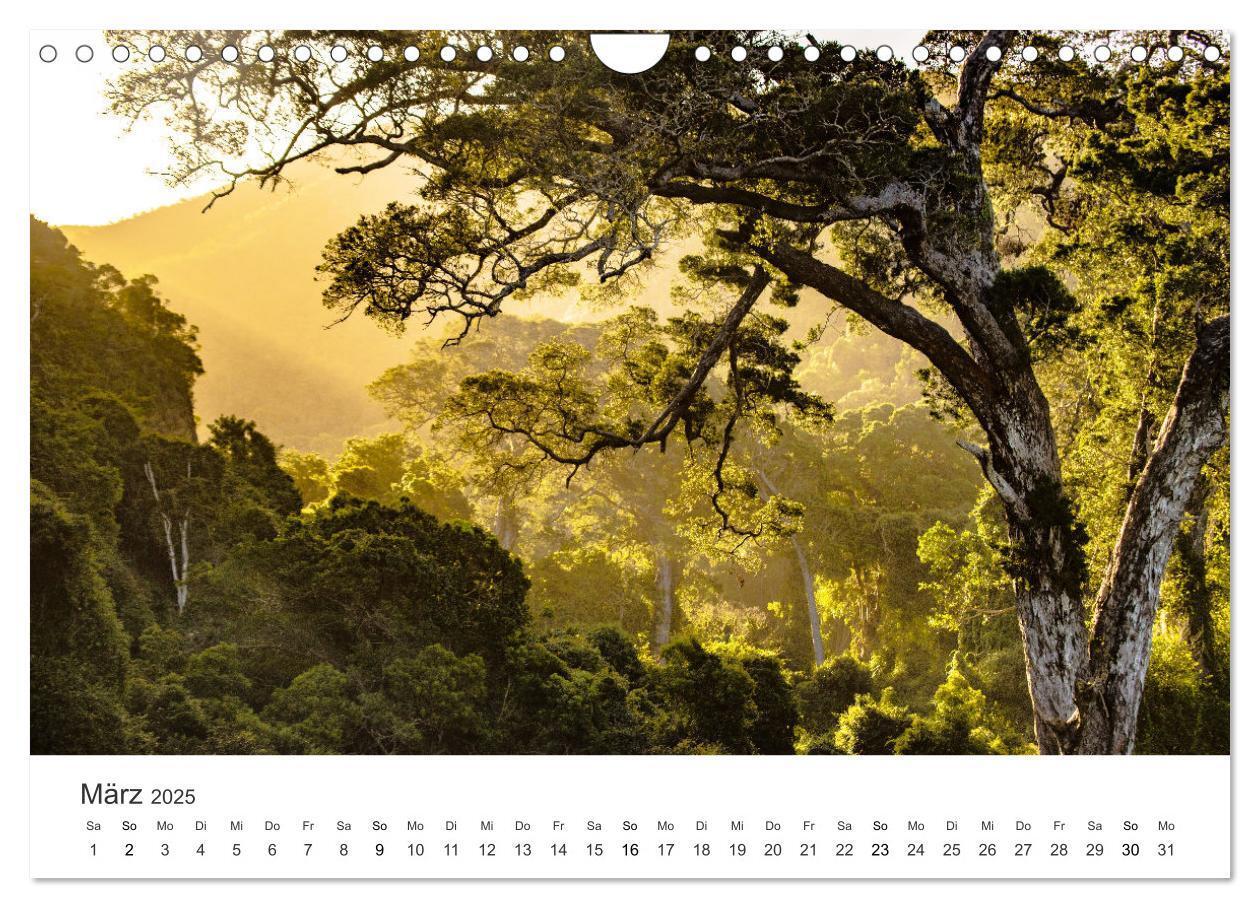 Bild: 9783435057665 | Bezauberndes Südafrika (Wandkalender 2025 DIN A4 quer), CALVENDO...