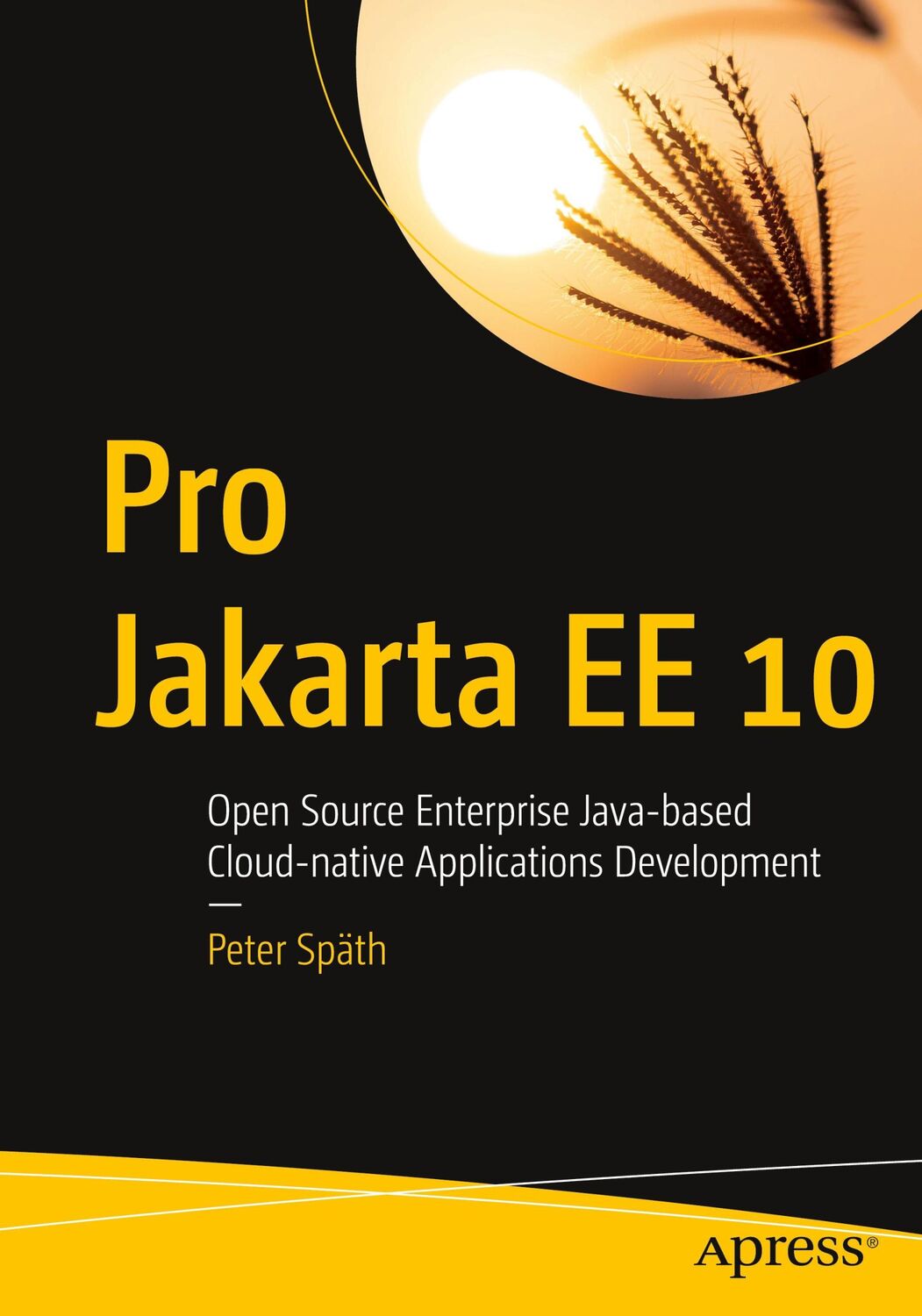 Cover: 9781484282137 | Pro Jakarta EE 10 | Peter Späth | Taschenbuch | Paperback | xx | 2023