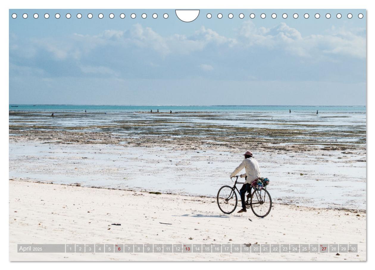 Bild: 9783383934124 | Biken - Impressionen von Rolf Dietz (Wandkalender 2025 DIN A4...