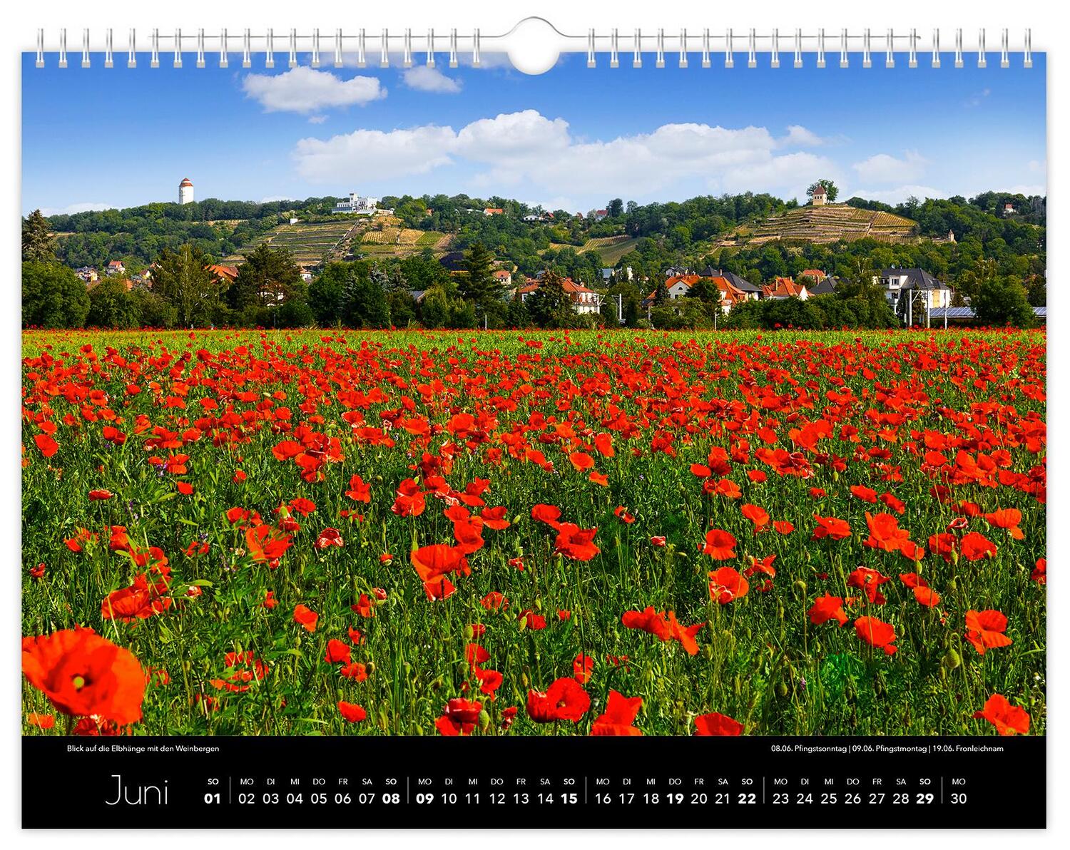 Bild: 9783910680609 | Kalender Radebeul 2025 | 40 x 30 cm schwarzes Kalendarium | Schubert