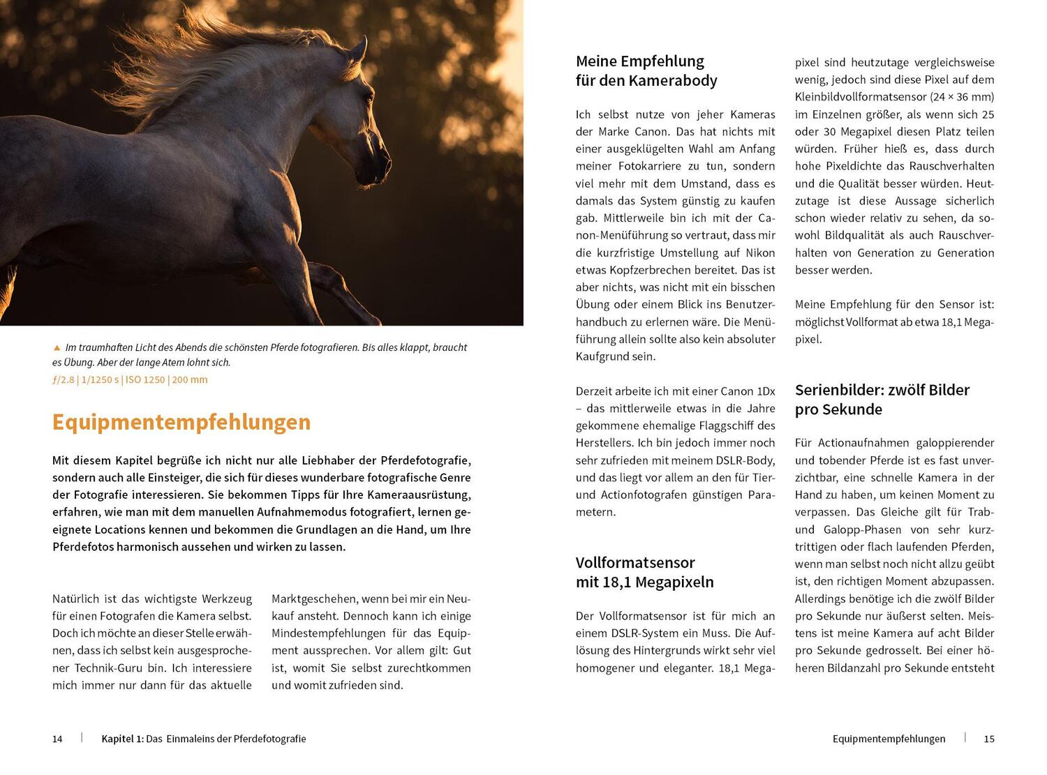 Bild: 9783832804237 | Pferde stilvoll fotografieren | Haas Wiebke | Buch | 222 S. | Deutsch