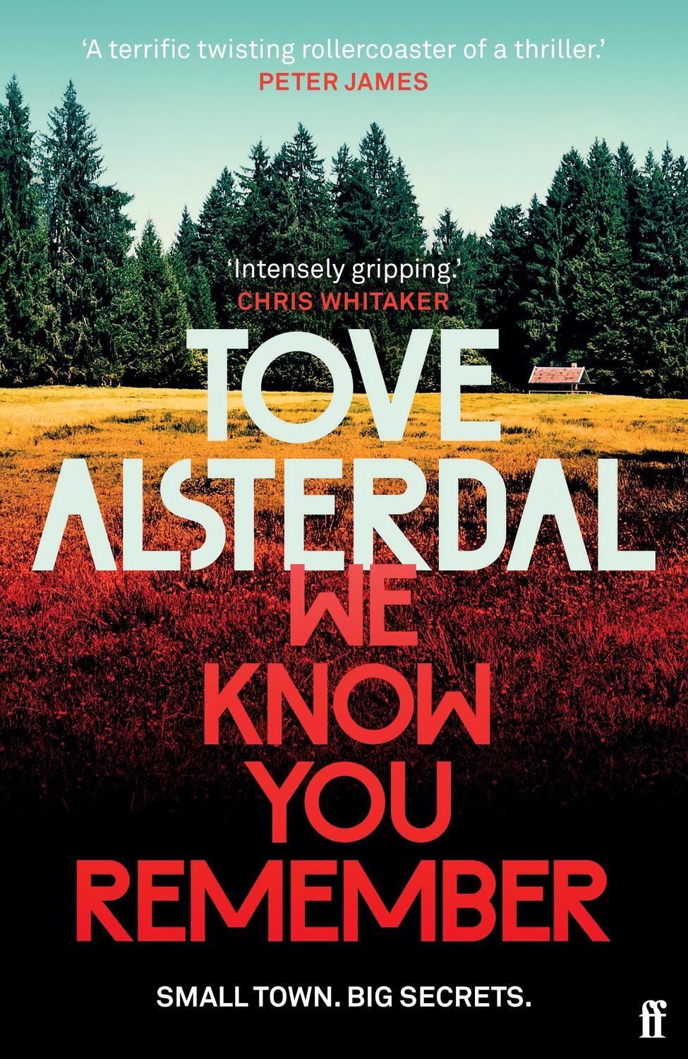 Cover: 9780571368938 | We Know You Remember | The No. 1 International Bestseller | Alsterdal