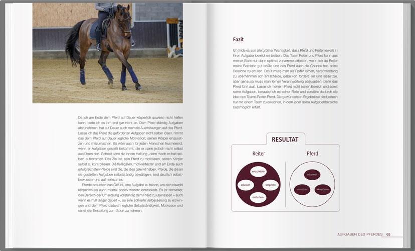 Bild: 9783784356693 | Reiten - leicht &amp; logisch | Michael Fischer | Buch | 144 S. | Deutsch