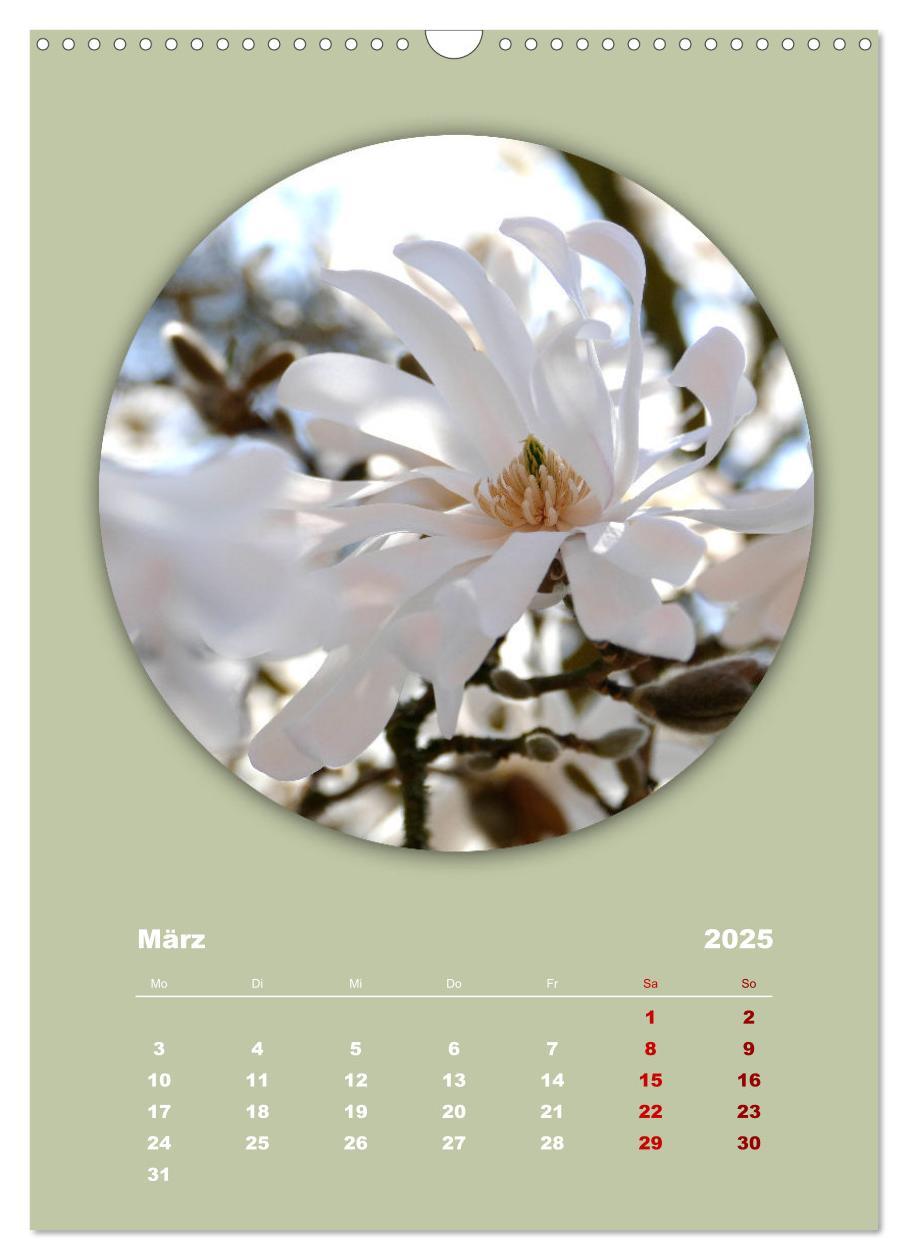 Bild: 9783435897186 | Rundherum Natur (Wandkalender 2025 DIN A3 hoch), CALVENDO...