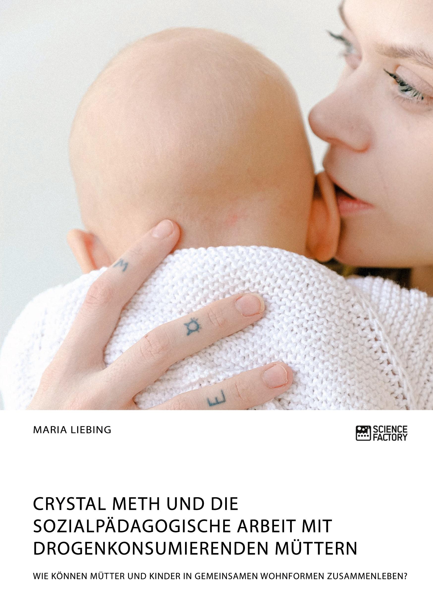 Cover: 9783964871527 | Crystal Meth und die sozialpädagogische Arbeit mit...