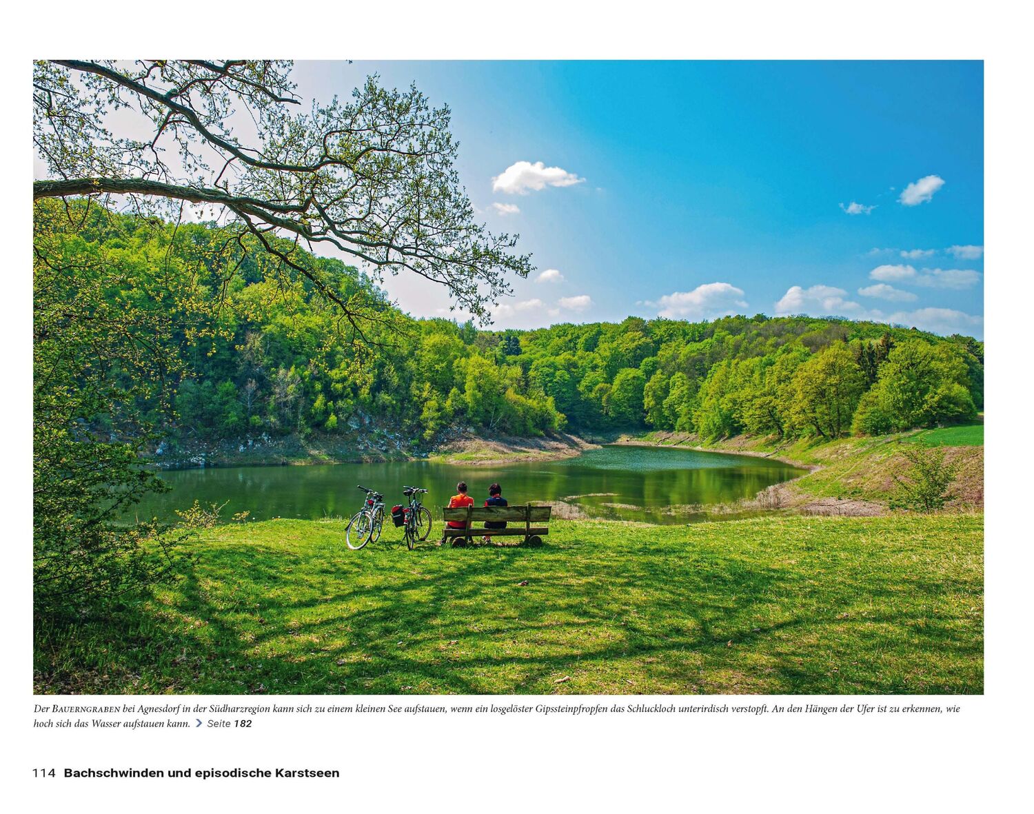 Bild: 9783613509283 | Die Welt der Süßwasserquellen | Herbert Frei (u. a.) | Buch | 192 S.