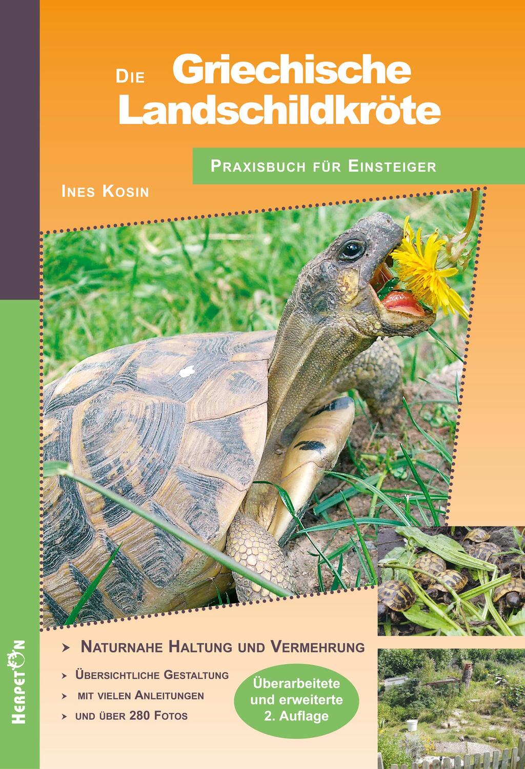Cover: 9783936180343 | Die Griechische Landschildkröte | Praxisbuch für Einsteiger | Kosin