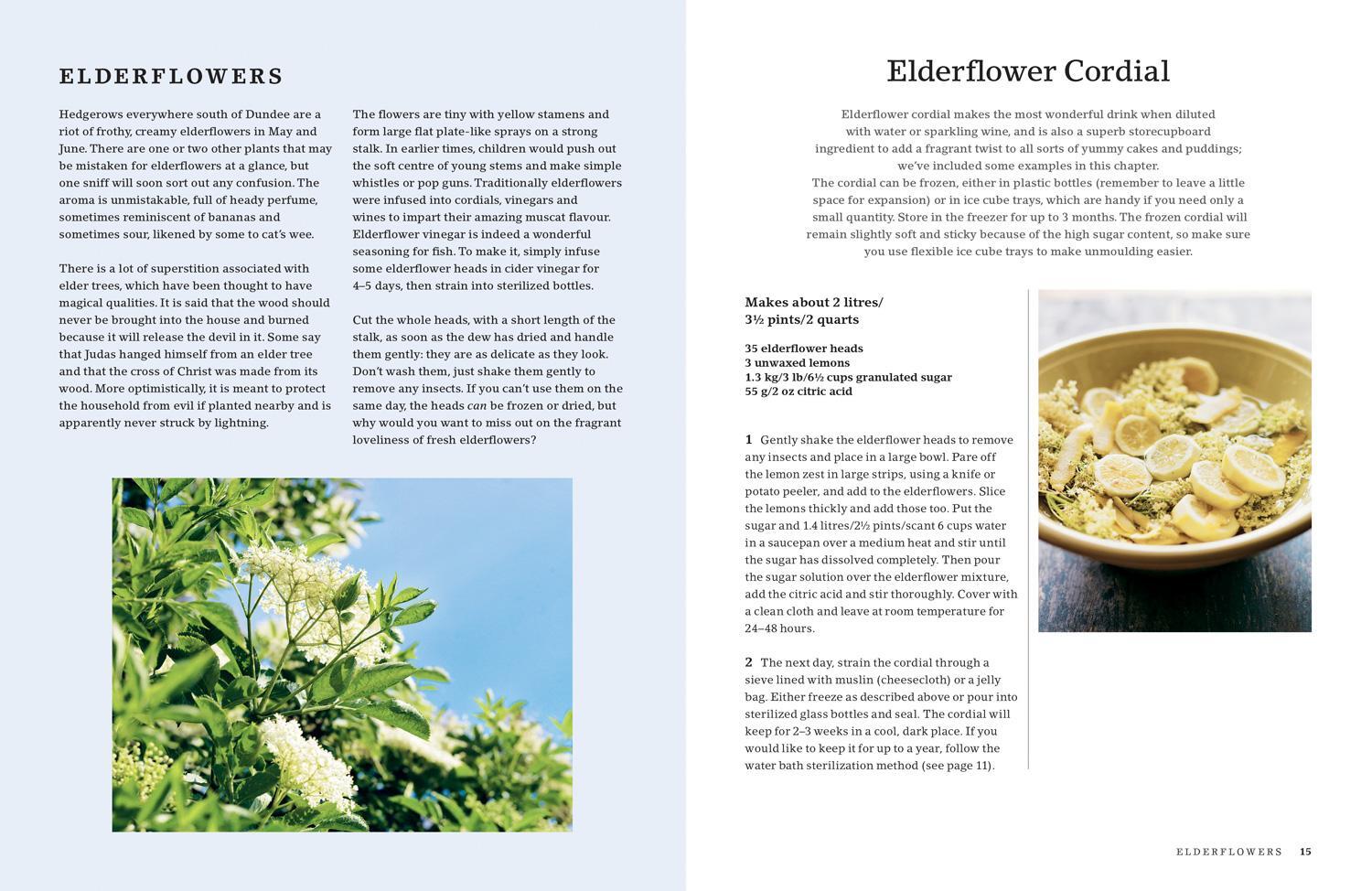 Bild: 9781911657330 | The Hedgerow Cookbook | Delicious Recipes for Foraged Food | Buch