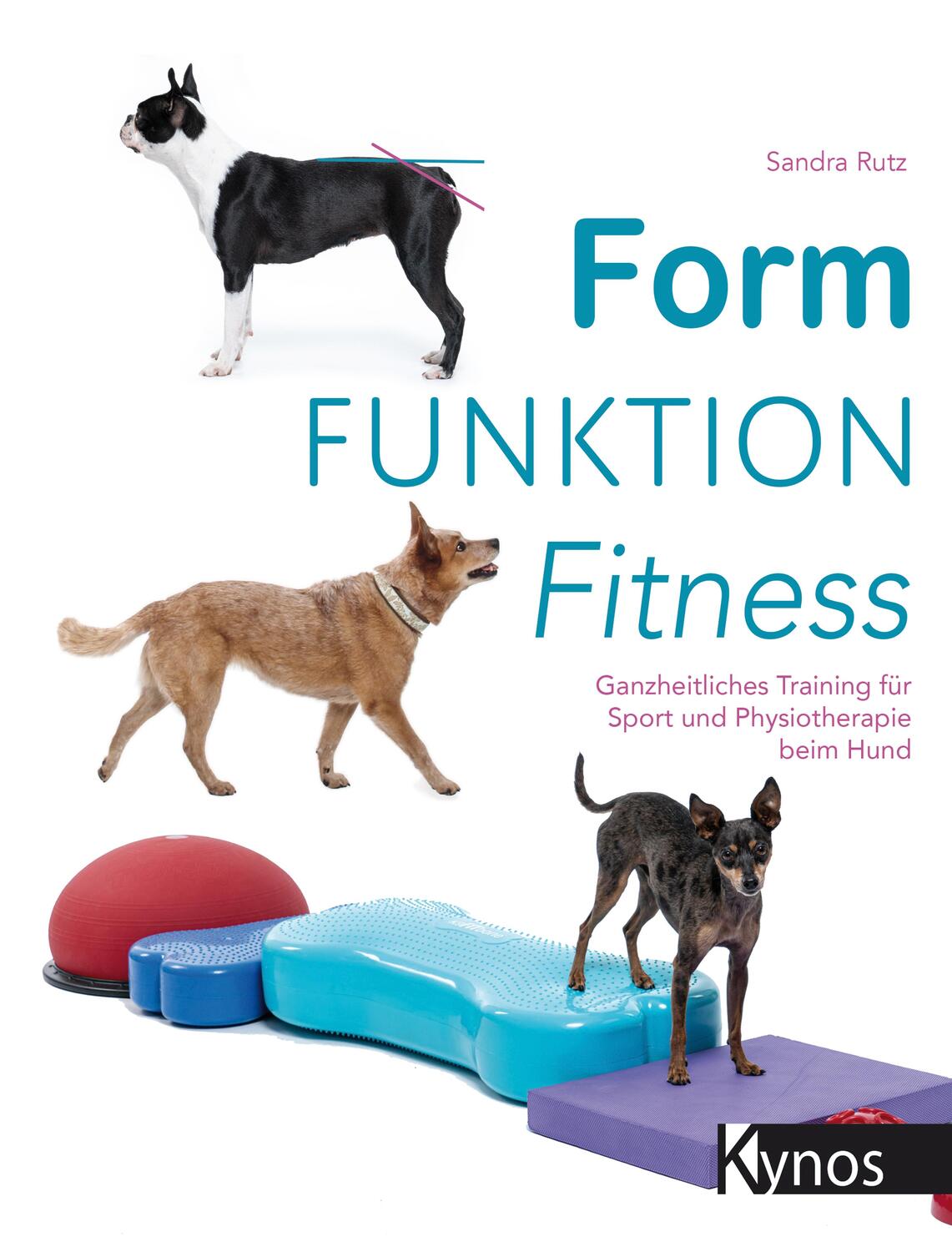 Cover: 9783954642205 | Form Funktion Fitness | Sandra Rutz | Taschenbuch | Deutsch | 2020