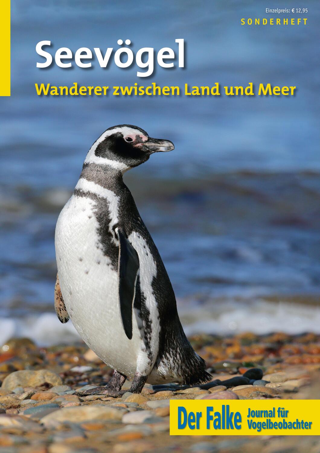 Cover: 9783891048559 | See- und Küstenvögel | Redaktion Der Falke | Taschenbuch | 56 S.
