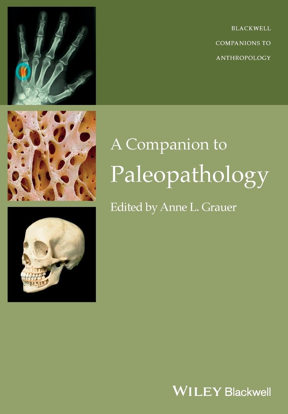 Cover: 9781119111634 | Companion to Paleopathology Ni | Grauer | Taschenbuch | Paperback