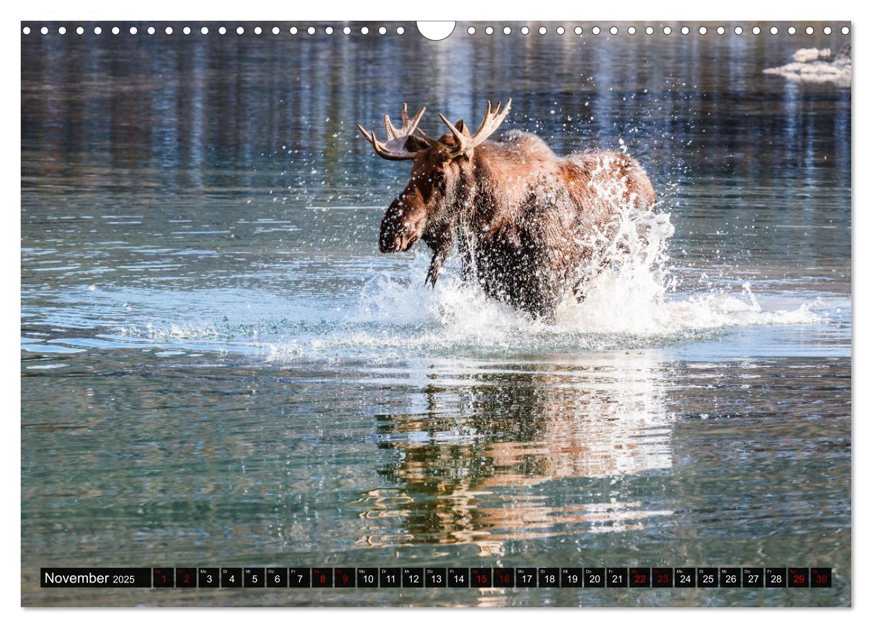 Bild: 9783435038800 | Kanada - Abenteuer in den Nationalparks (Wandkalender 2025 DIN A3...