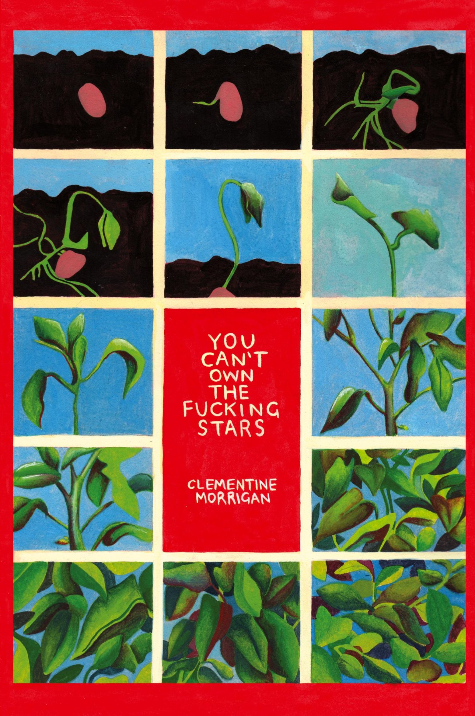 Cover: 9781999419202 | You Can't Own the Fucking Stars | Clementine Morrigan | Taschenbuch