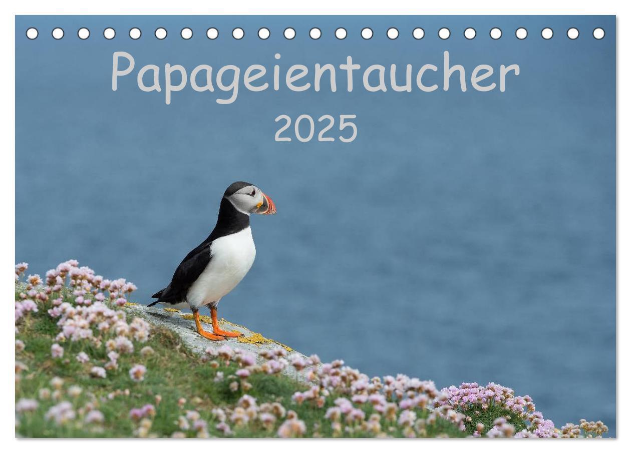 Cover: 9783435714483 | Papageientaucher 2025 (Tischkalender 2025 DIN A5 quer), CALVENDO...