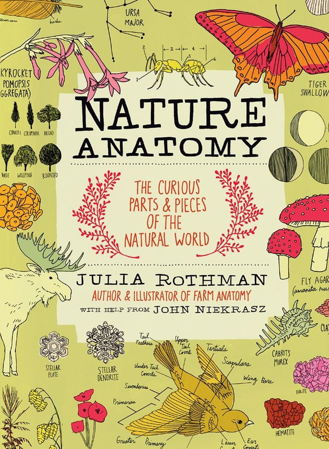 Cover: 9781612122311 | Nature Anatomy | The Curious Parts and Pieces of the Natural World