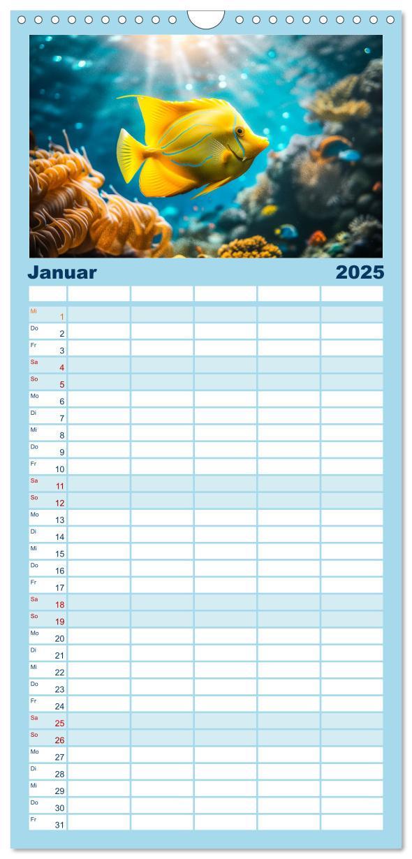 Bild: 9783457191538 | Familienplaner 2025 - Exotische Fische mit 5 Spalten (Wandkalender,...