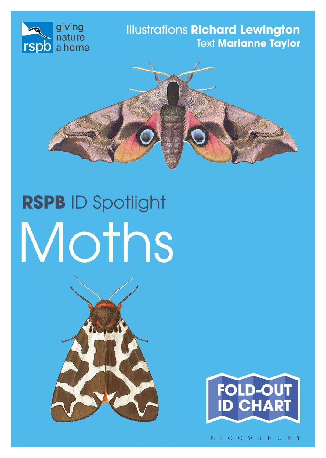 Cover: 9781472974297 | RSPB ID Spotlight - Moths | Marianne Taylor | Stück | Englisch | 2020