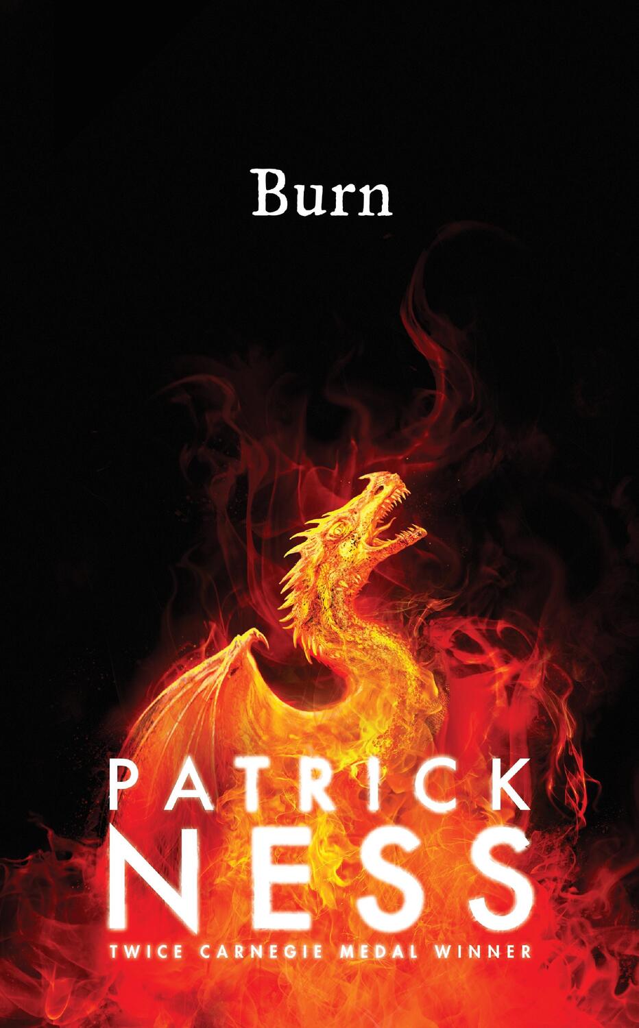 Cover: 9781406375503 | Burn | Patrick Ness | Buch | Kartoniert / Broschiert | Englisch | 2020