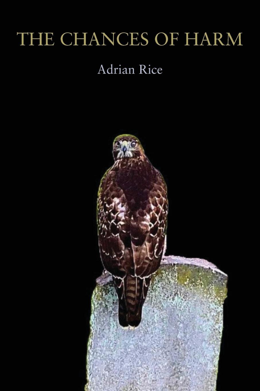 Cover: 9781950413843 | The Chances of Harm | Poems | Adrian Rice | Taschenbuch | Paperback