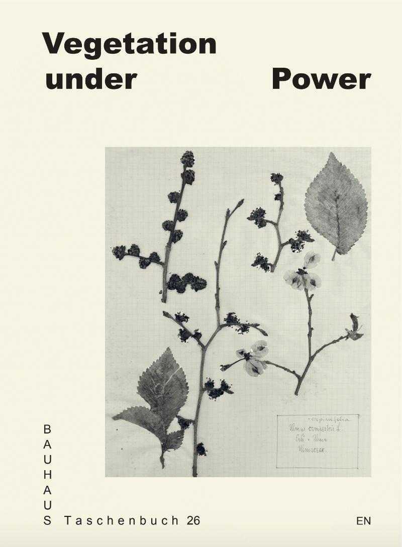 Cover: 9783959055871 | Vegetation under Power | Heat! Breath! Growth! | Lili Carr (u. a.)