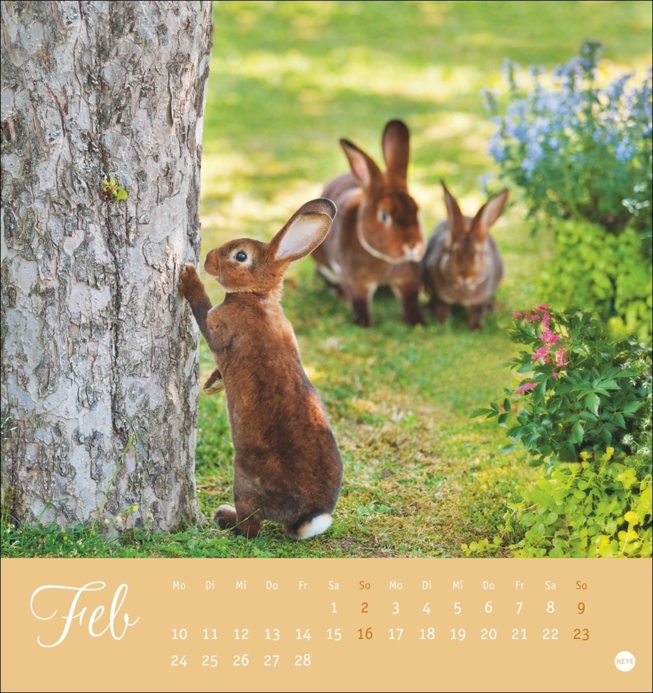 Bild: 9783756407057 | Süße Kaninchen Postkartenkalender 2025 | Monika Wegler | Kalender