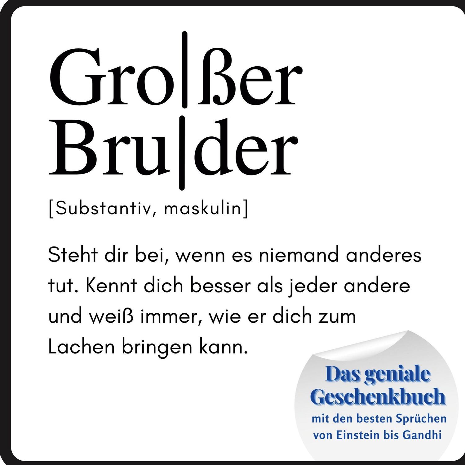 Cover: 9783750515185 | Großer Bruder | Steffi Meier | Taschenbuch | Paperback | Deutsch