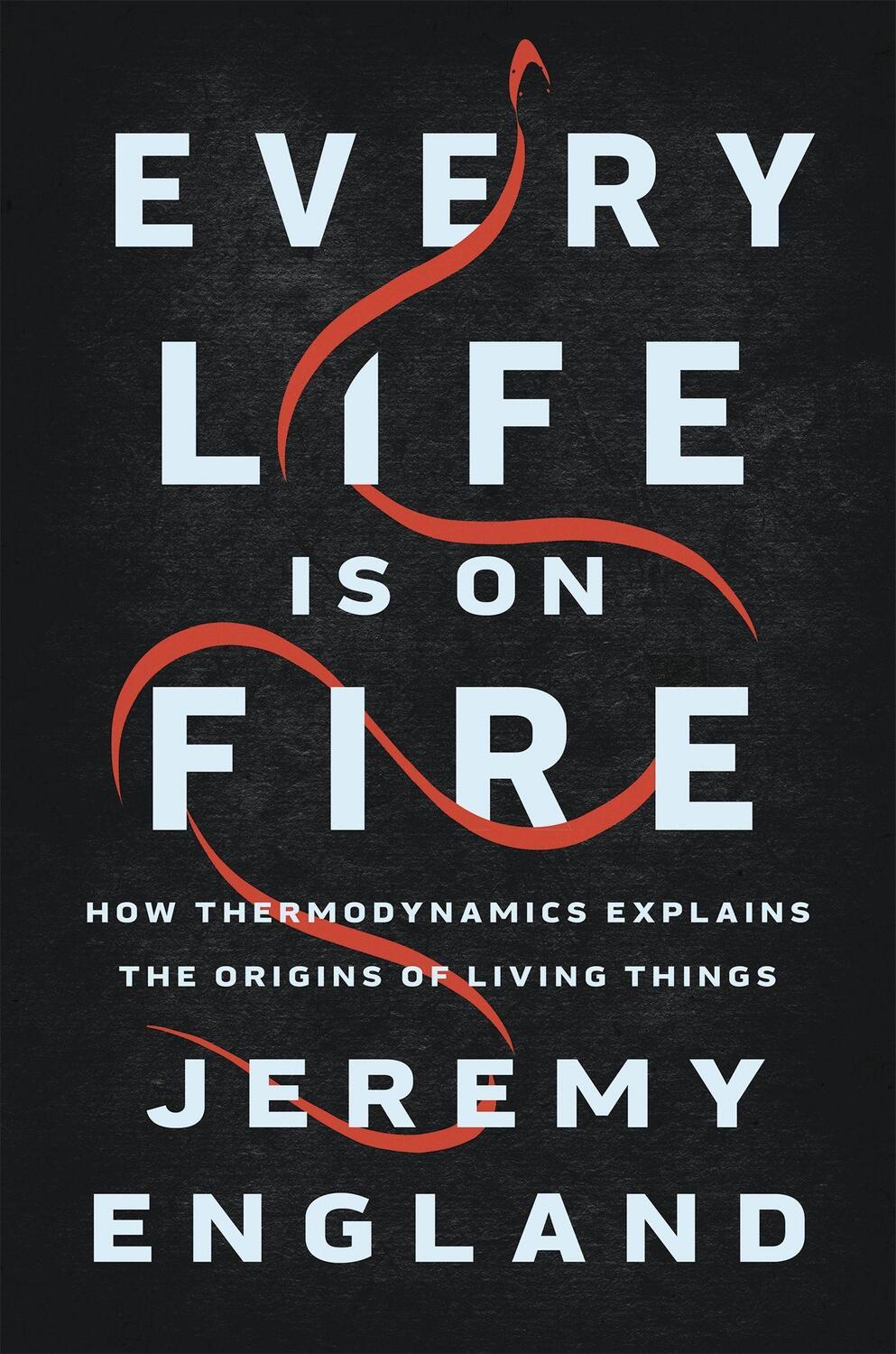 Cover: 9781541699014 | Every Life Is On Fire | Jeremy England | Buch | Gebunden | Englisch