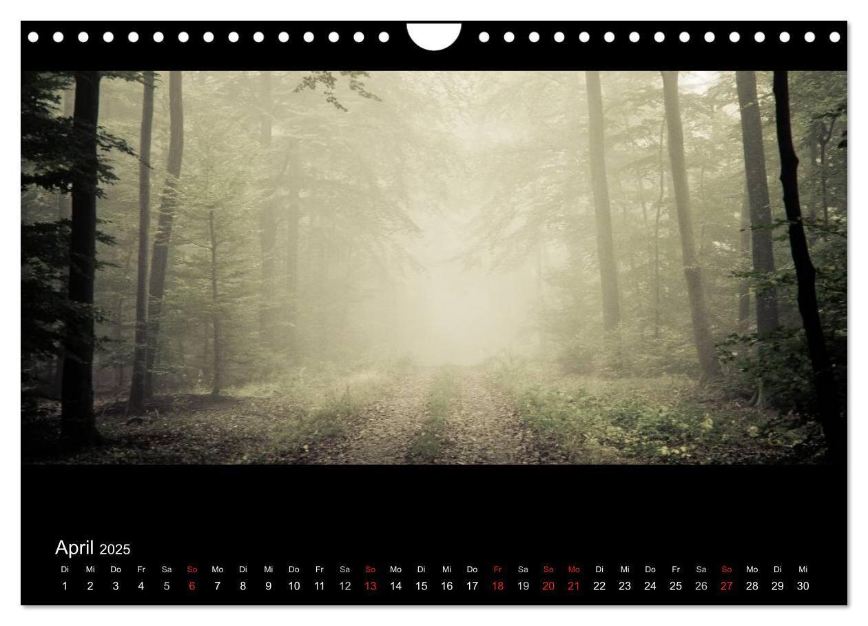 Bild: 9783435795406 | NEBEL (Wandkalender 2025 DIN A4 quer), CALVENDO Monatskalender | 2025