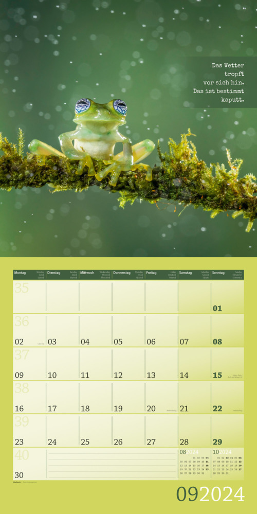 Bild: 9783838444352 | Keep Smiling! Kalender 2024 - 30x30 | Ackermann Kunstverlag | Kalender