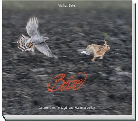 Cover: 9783852081151 | Beize | Mit Greifvögeln auf der Jagd | Markus Zeiler | Buch | 228 S.