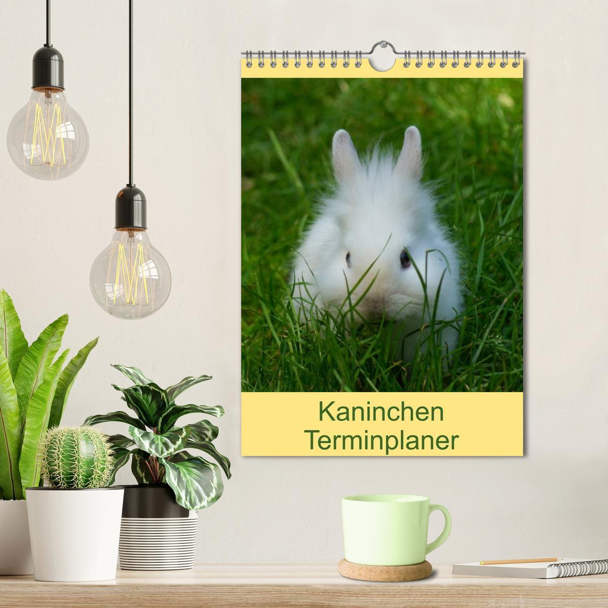 Bild: 9783457013236 | Kaninchen Terminplaner (Wandkalender 2025 DIN A4 hoch), CALVENDO...