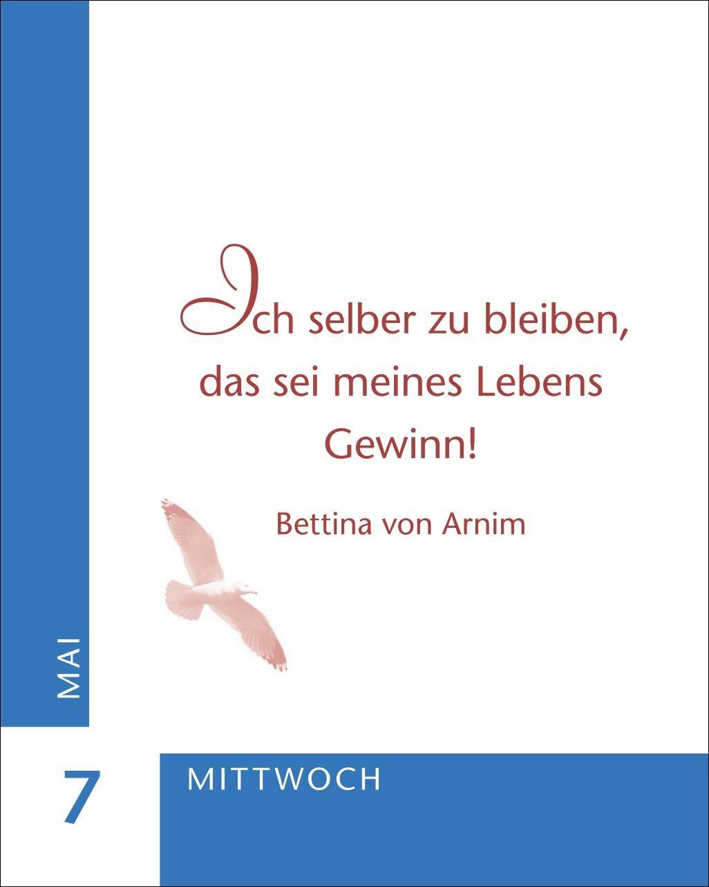 Bild: 9783840034183 | Ein Jahr der Gelassenheit Mini-Geschenkkalender 2025 | Artel | 380 S.