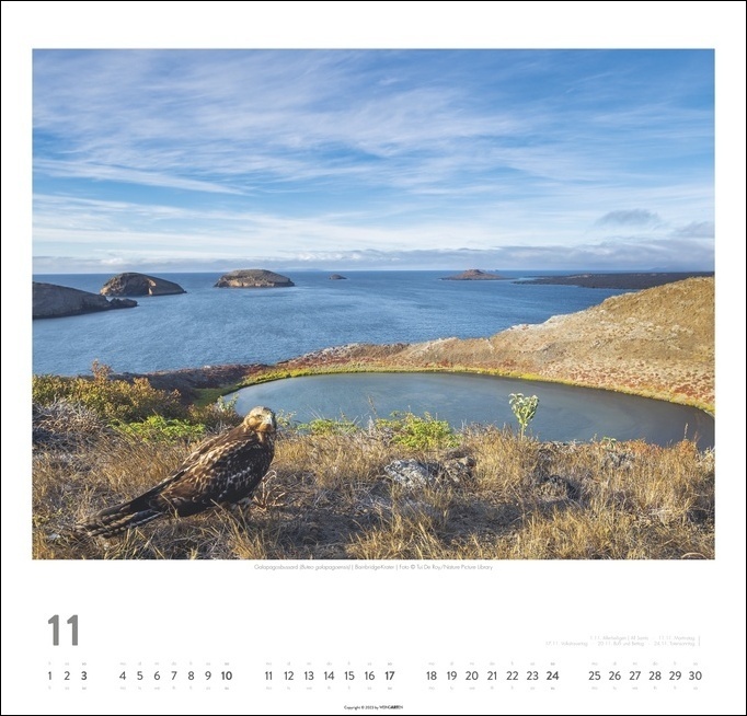 Bild: 9783840084706 | Galapagos Kalender 2024. Atemberaubende Fotos der Galapagosinseln...